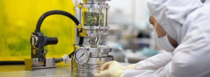 Empiece su propio negocio de aceite de CBD para el cuidado de la piel