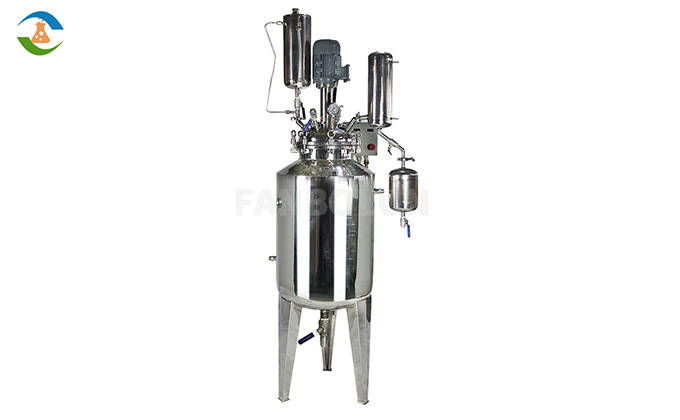 Reactor con camisa de acero inoxidable-3